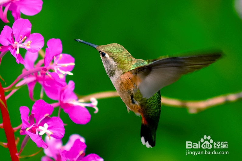 如何才能让自己变得更加漂亮