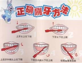 一岁宝宝学刷牙