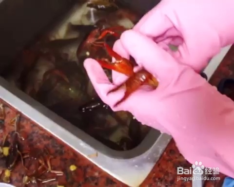 香气浓郁的小龙虾