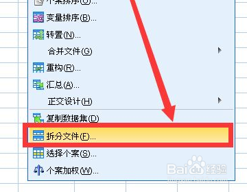 数值怎么输入spss 计算统计