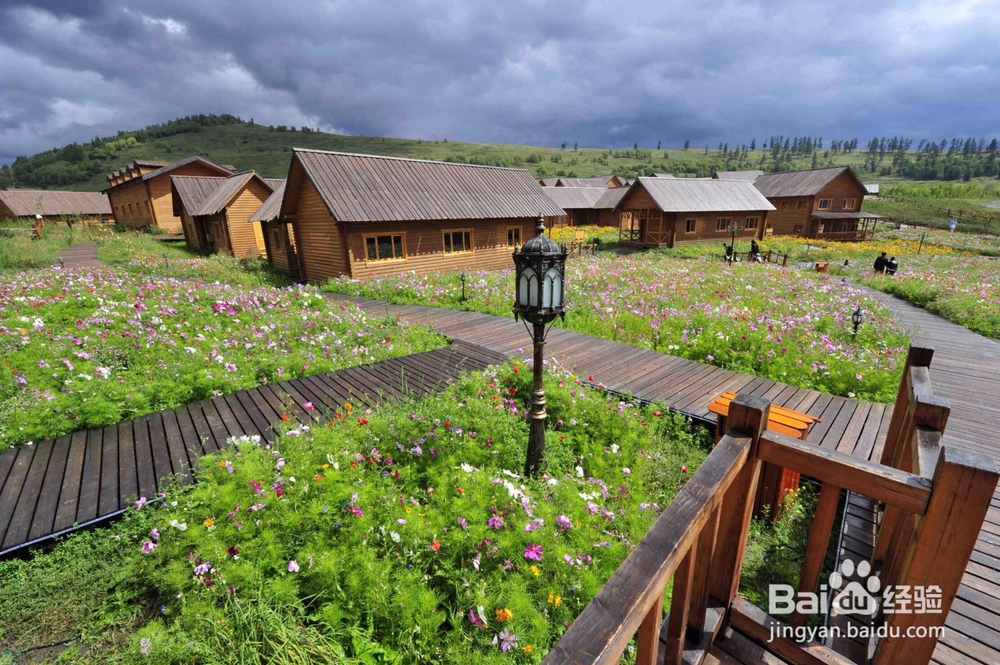 喀纳斯旅游攻略