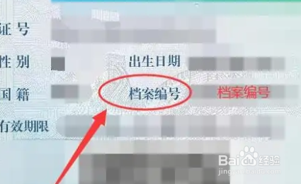 驾驶证档案编号空的怎么查