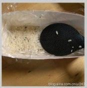 在家里调制本格的の寿司醋——做另类寿司