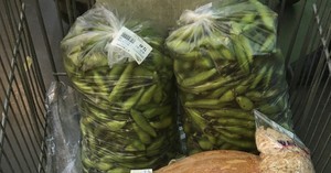 保存蚕豆的最佳方法