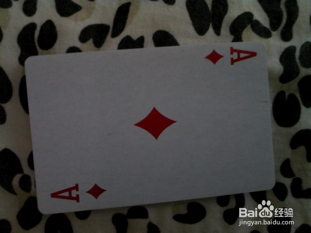 命运数·天赋数