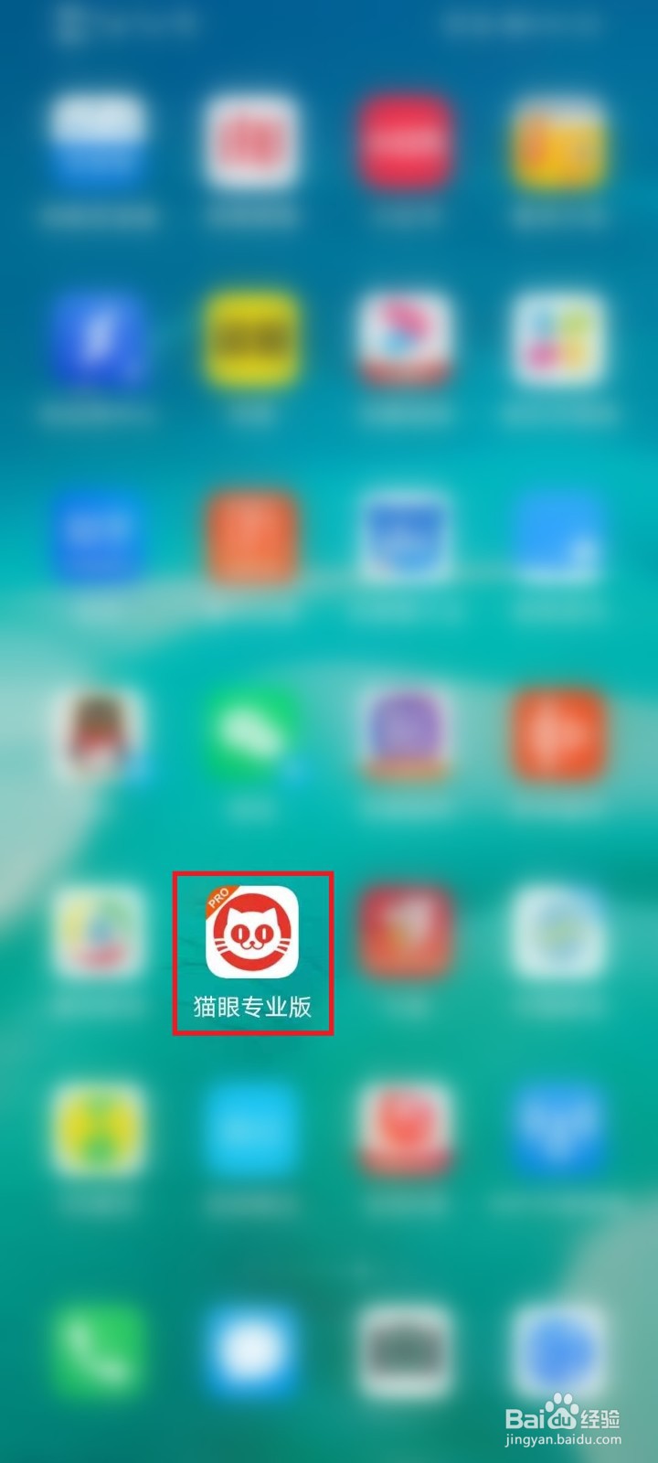 《我爱喵星人》什么时候上映