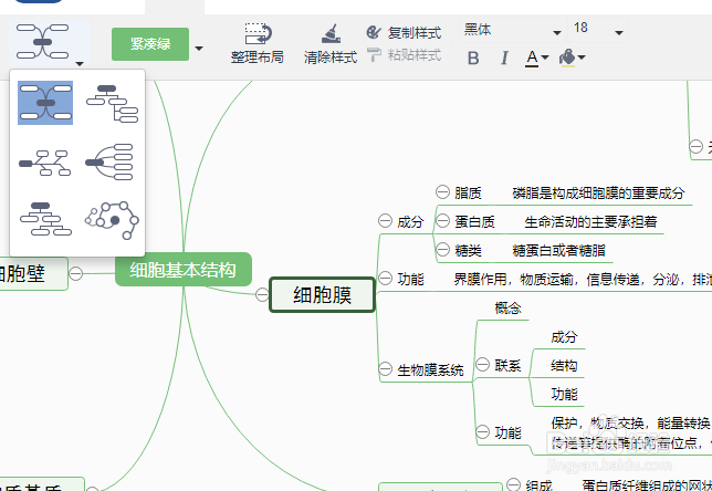 怎么画细胞的的基本结构思维导图