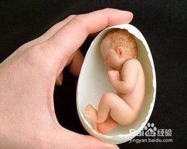 非深户如何在深圳进行免费孕前检查？