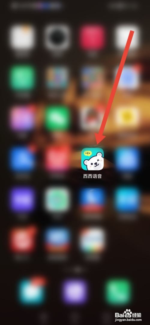 西西语音APP怎么隐藏粉丝团铭牌