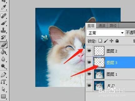 用PS制作动态猫咪表情包