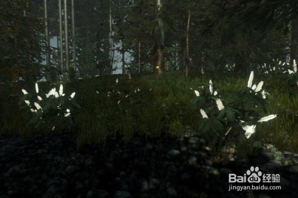 迷失森林(The Forest)心得技巧