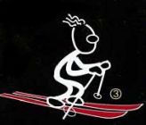 怎样快速学会滑雪