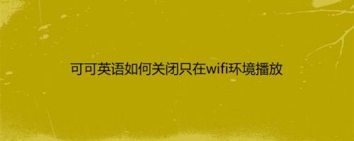 可可英语如何关闭只在wifi环境播放