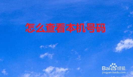 苹果手机怎么查看本机号码