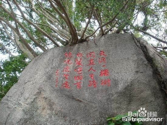 三亚旅游攻略景点一览