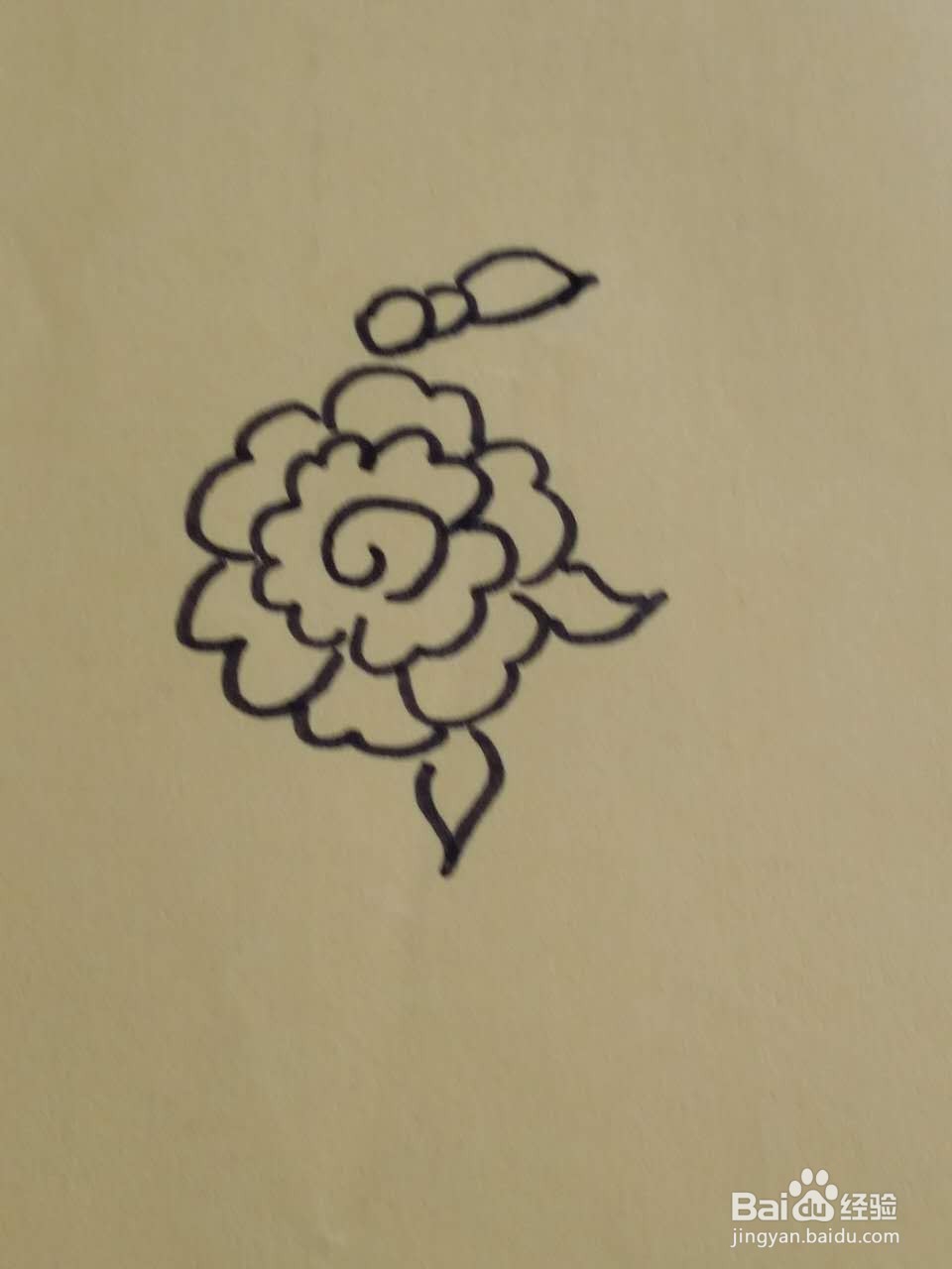 勤劳的小蜜蜂简笔画画法