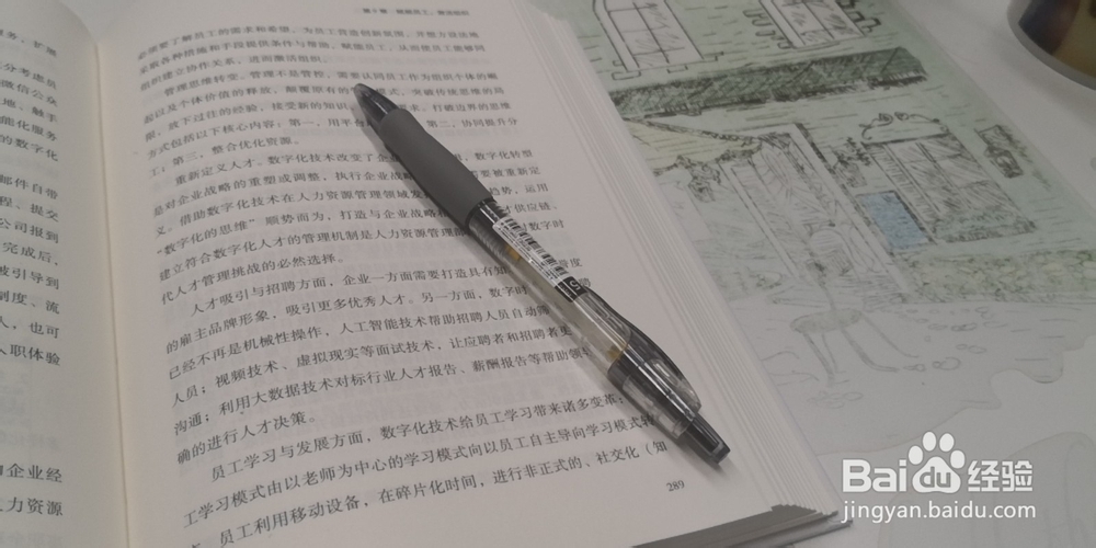 如何高效学习(结合生物钟)