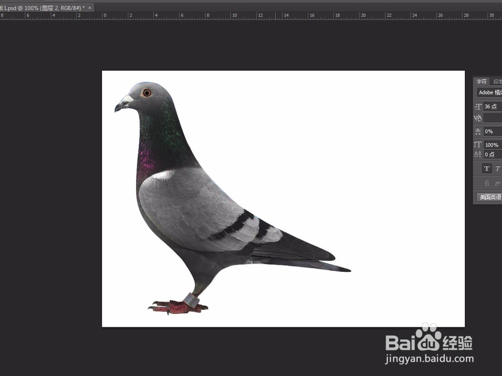 ps新手教学 必学7