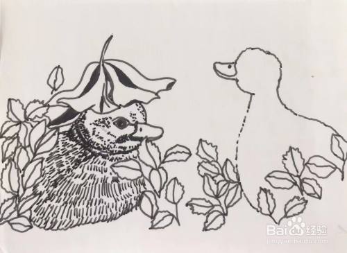 插画教程之柯尔鸭的画法