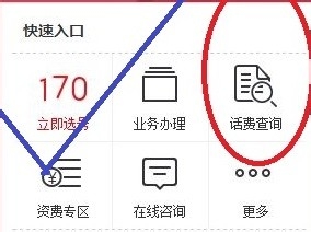170开头号码怎么查话费？