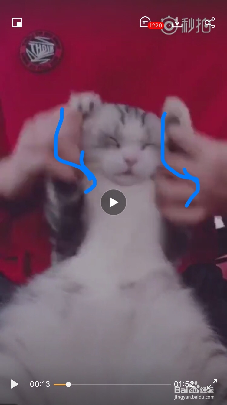 海草舞舞蹈教程分解动作