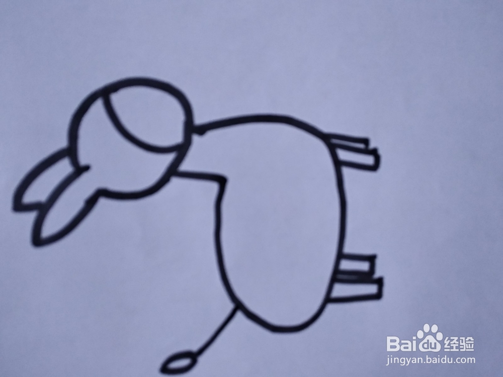 小毛驴简笔画怎么画