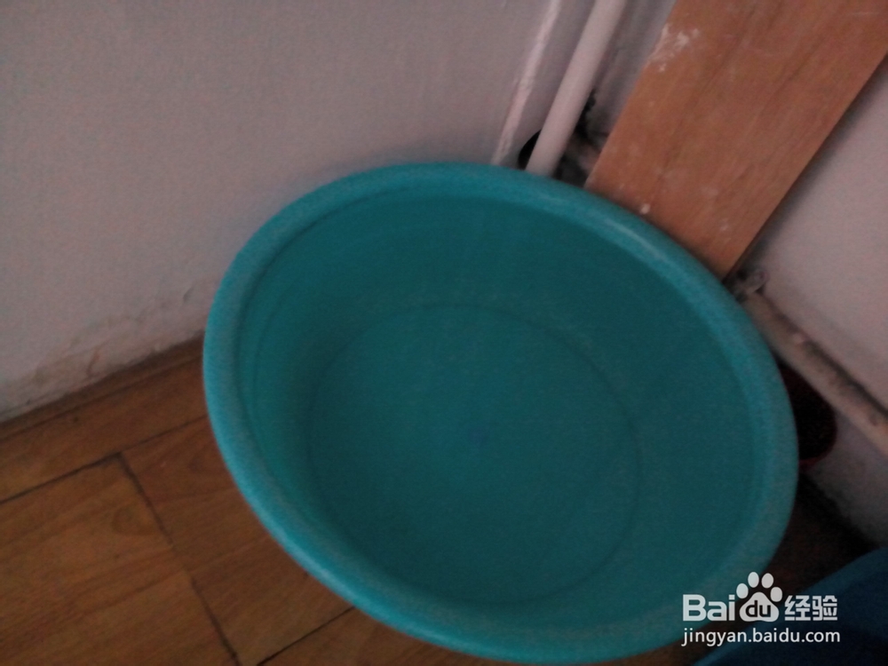 新手养鱼应该注意什么