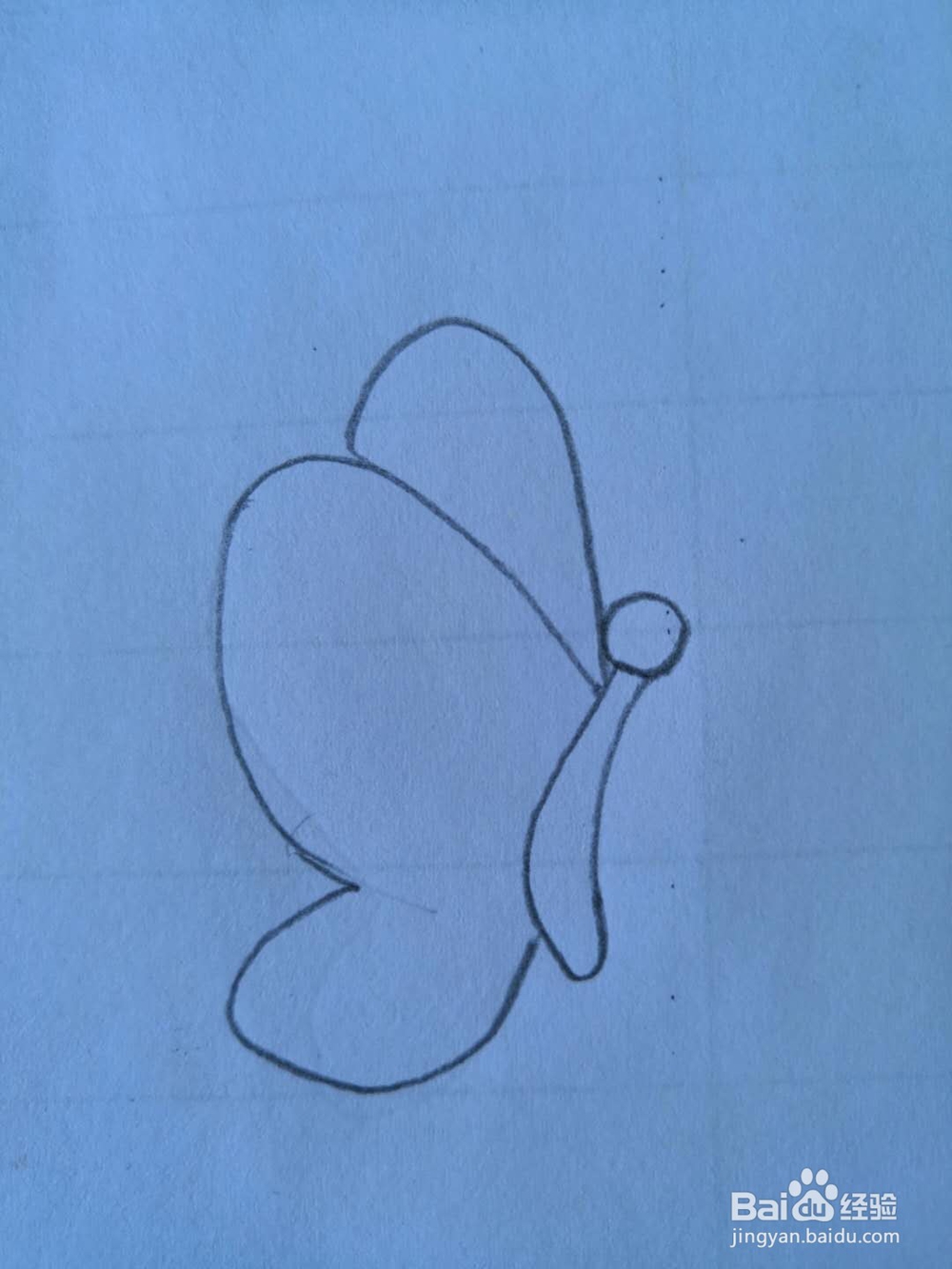 如何画蝴蝶简笔画