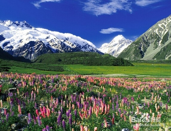 如何安排好每天的时间！（小攻略）