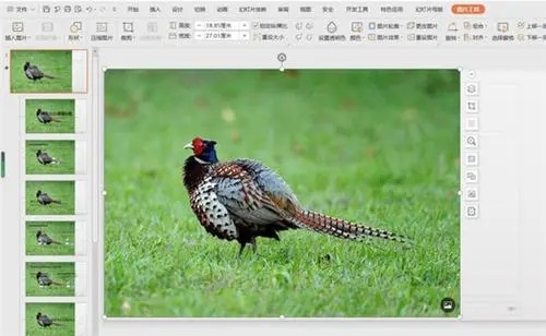 powerpoint哪些内容、对象可以直接在幻灯片中修改？哪些对象、内容必须在母版中修改