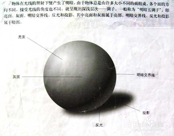 素描中的三大面五大调是什么意思