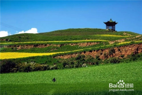 夏天旅行攻略—清凉一夏，最适合夏天的旅行地