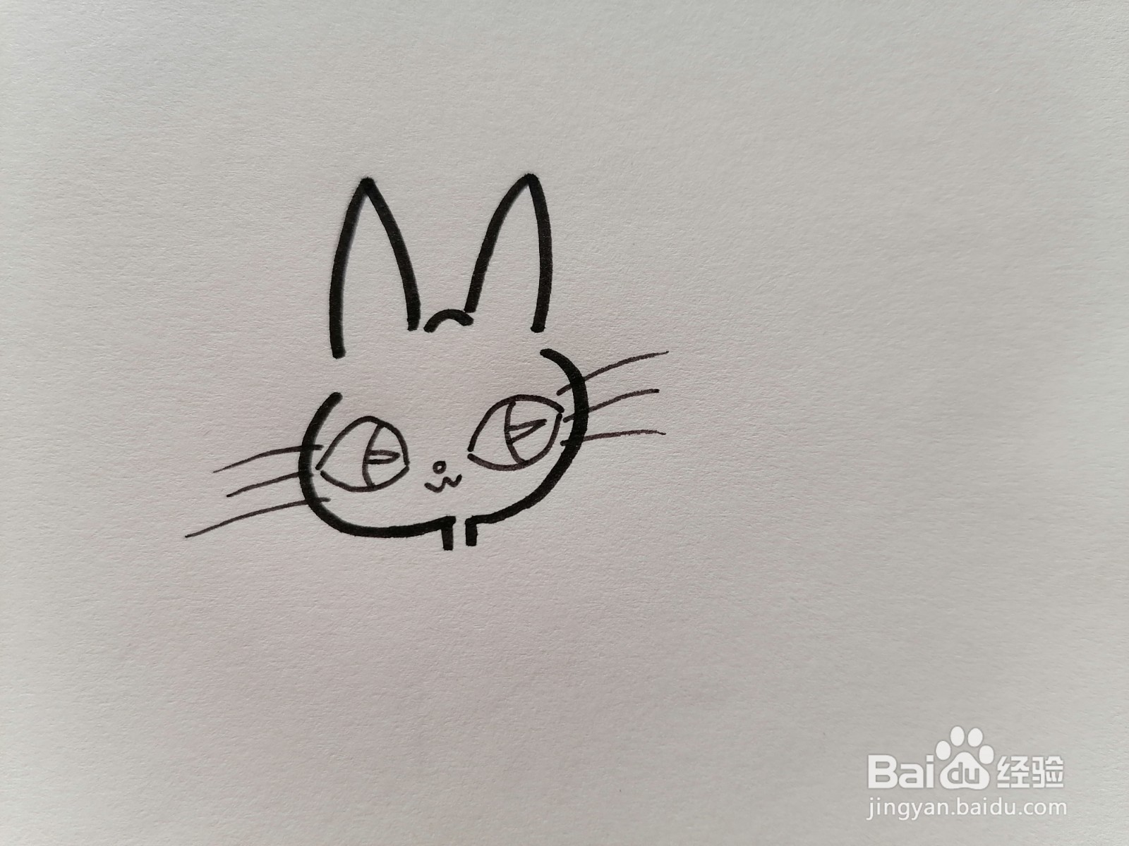 优雅的猫怎么画