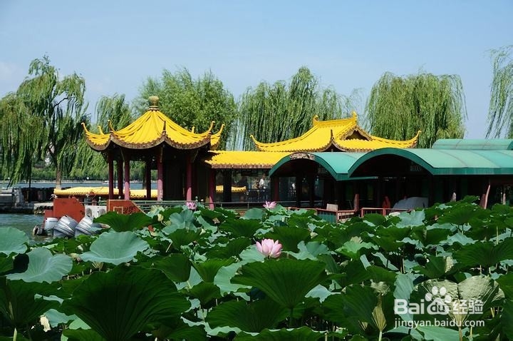 泉城济南一日游