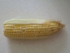 清甜玉米汁的做法