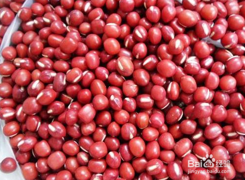 体内湿气重吃什么？