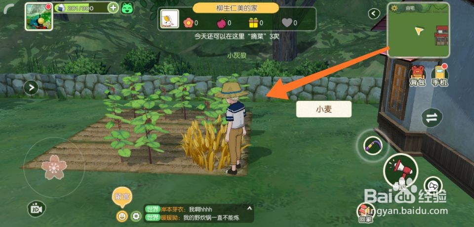 小森生活怎么偷菜
