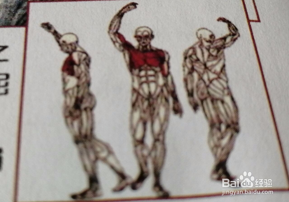 如何练胸部肌肉