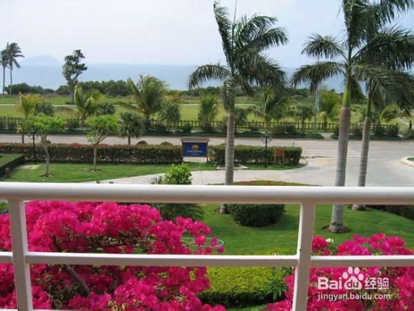 海南热带风情三亚海棠湾