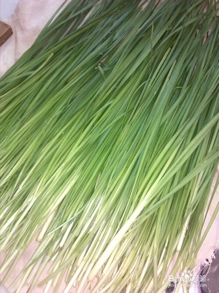 好吃不过饺子：[1]猪肉韭菜馅怎么拌