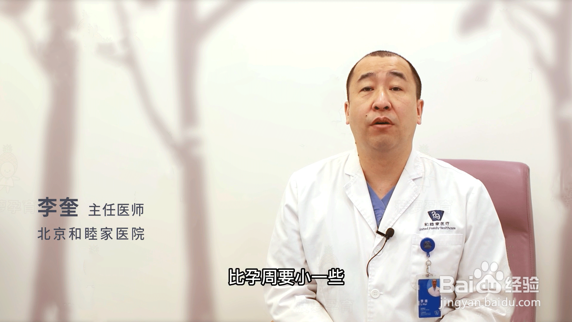 股骨是哪个部位
