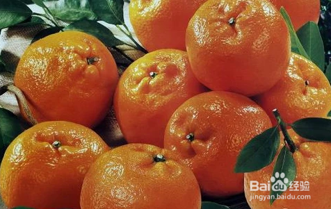 多吃哪些食物有利于预防脱发?