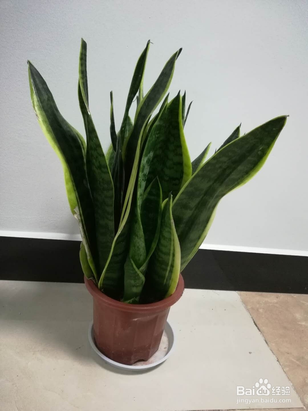 怎样有效防治失眠？