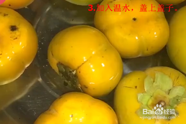 怎样揽柿子又甜又脆