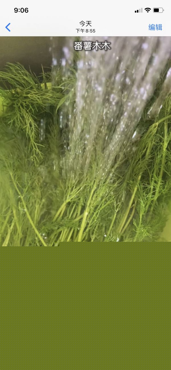 小茴香爆汁大肉饺子