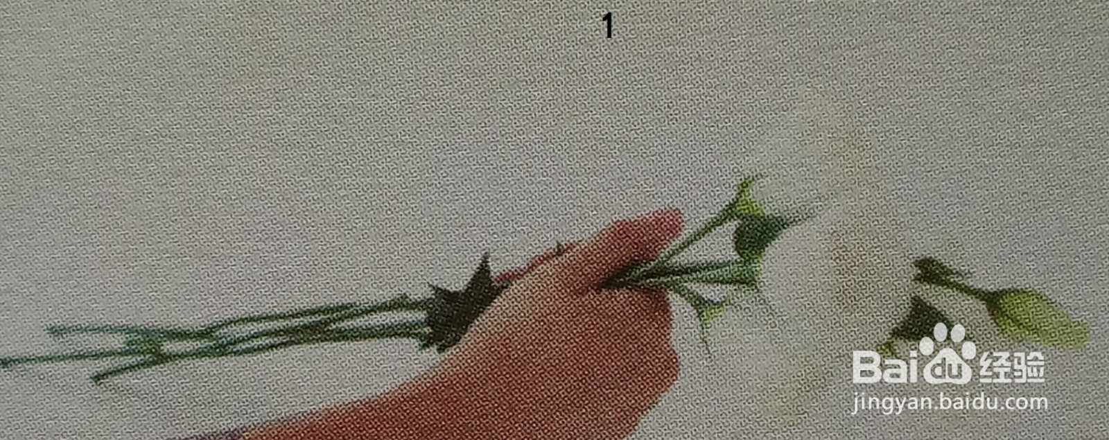 白色手绑花束的插法