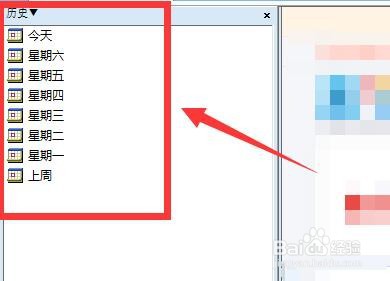 在瑞影浏览器中如何查看浏览历史记录