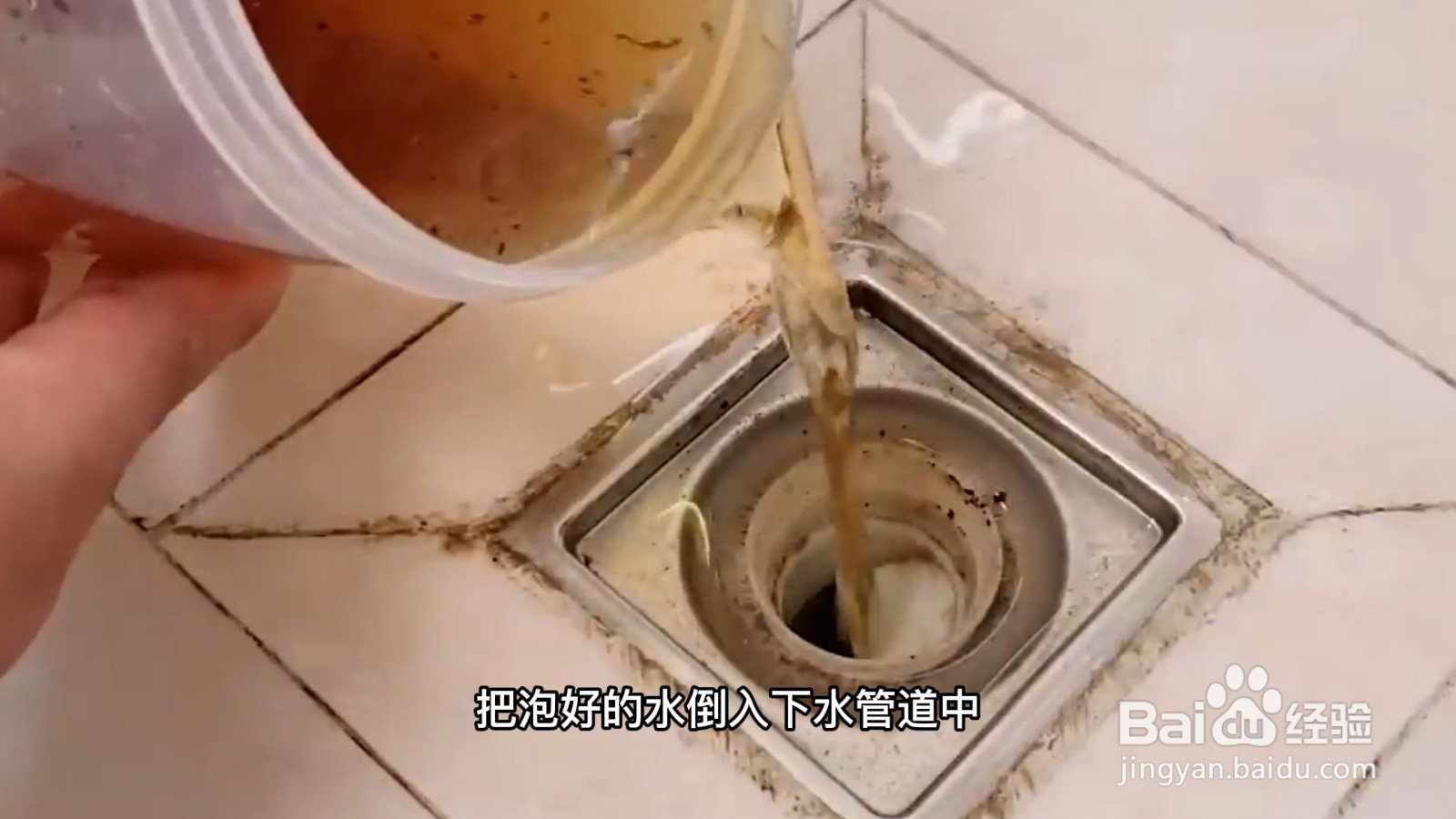 屋里有小飞虫怎么消灭,从哪里来的