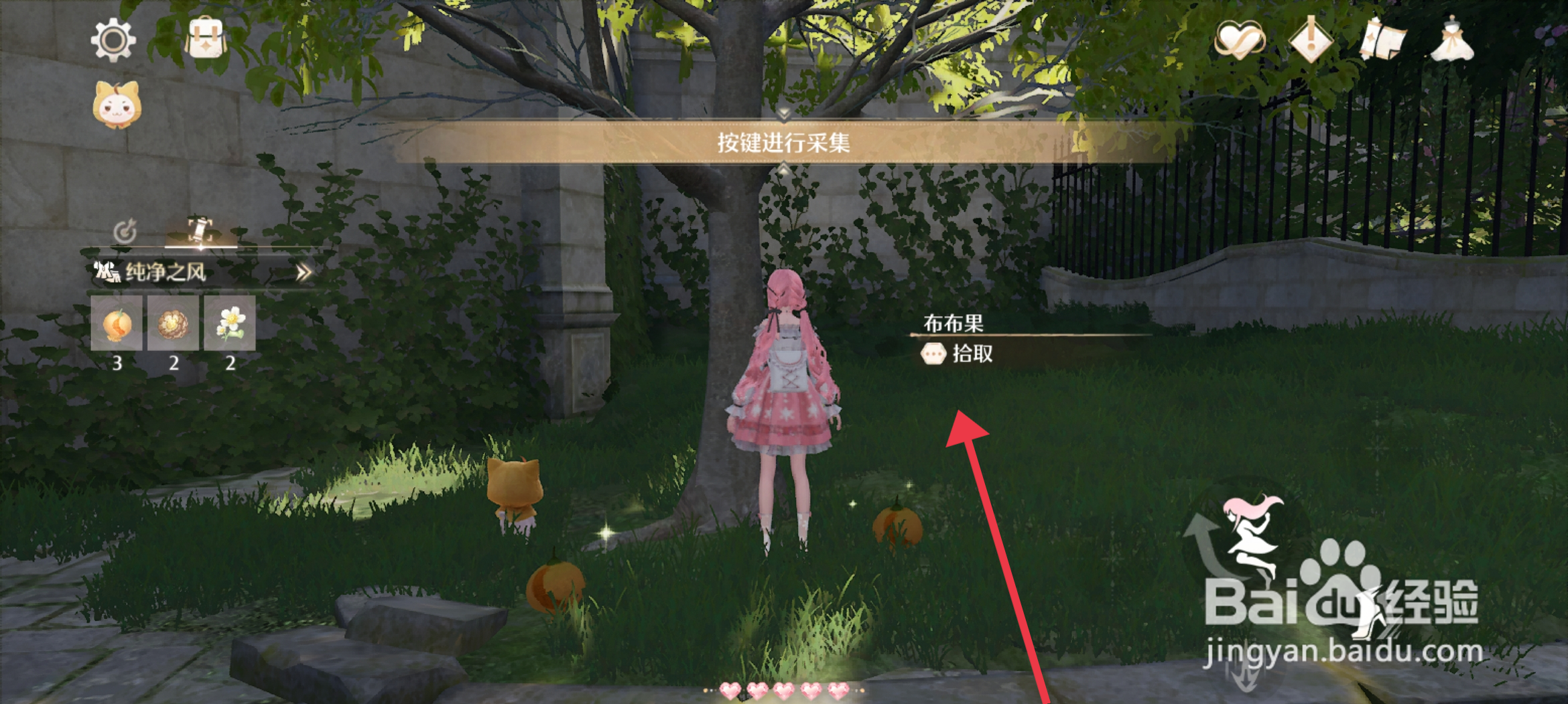 无限暖暖采集布布果攻略