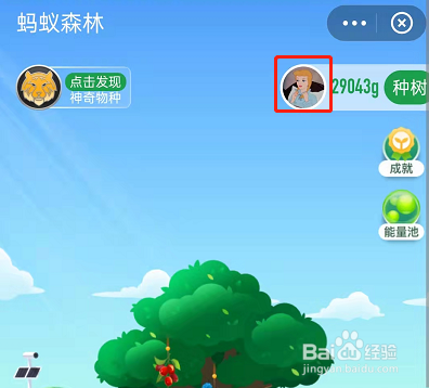 支付宝蚂蚁森林怎样看个人减排量